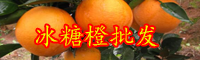 云南现在冰糖橙多少钱一斤？种植前景如何？