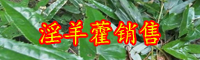 2019-2020年云南淫羊藿多少钱一斤？泡水喝有什么好处？