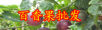 云南百香果苗批发多少钱一棵？它品种有哪些？