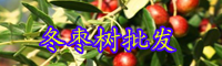云南一般冬枣树苗多少钱一棵？几年挂果？