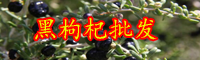 云南黑枸杞树苗价格多少钱一棵？在北方能种植吗？