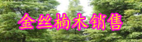 云南金丝楠木树一般多少年成材？苗价格多少钱一棵？