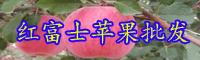 云南红富士苹果树苗价格多少钱一株？