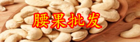云南腰果苗木价格多少钱一棵？