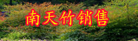 云南常绿小灌木南天竹在北方能养活吗？