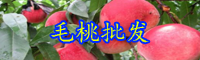 云南落叶乔木毛桃是凉性水果吗？