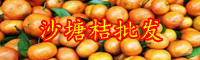 沙糖桔怎样种植生产量高？栽种两年結果？亩产量是多少？