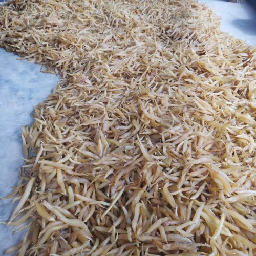 中药材天冬种植前景怎样？成本费盈利大约要多少钱一亩？
