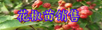 涨势快的花椒树苗价格多少钱一株？一亩地要栽种是多少株？
