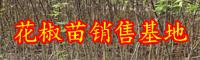 旱田合适种花椒树吗？种哪些种类好？何时种？如何种？