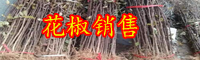 目前市面上的花椒籽价钱大概多少钱一斤？能干什么？能否栽种？如何种？