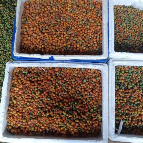 中药材黄精价钱为是多少？它的作用与功效是啥？