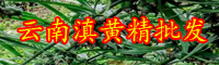黄精价钱多少钱一斤？种植前景和经济效益如何？