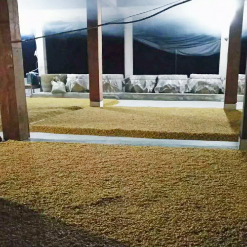 三不吃，三不喝-昭通市盐津县庙坝蛮滩酒厂