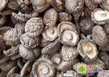 干香菇价格大概多少钱一斤