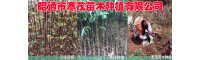 苹果苗品种有哪些?