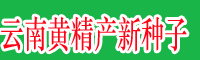 湖北\云南黄精产新种子&黄精统货价格