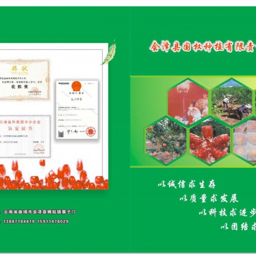 软籽石榴?时候成熟时间？种植技术