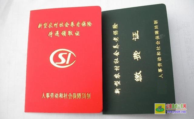 2020年新农保政策是什