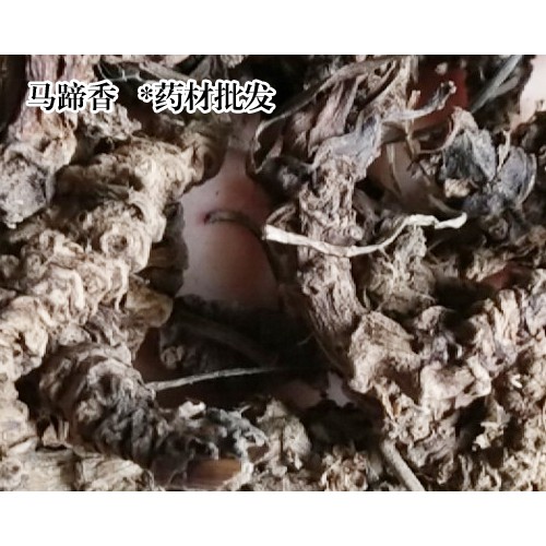 哪里有卖马蹄香苗 马蹄香苗一棵多少钱