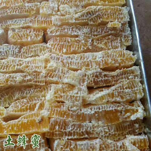新手养殖蜜蜂要注意什么？盘点新手常见错误