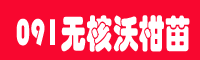 091无核沃柑苗种植前景