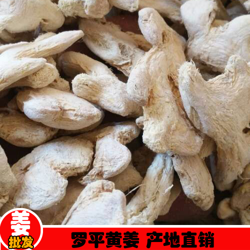 黄草乌哪里能买到种子种苗