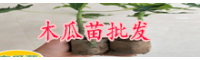 木瓜割开太生了该怎么办？里边的籽能吃吗？