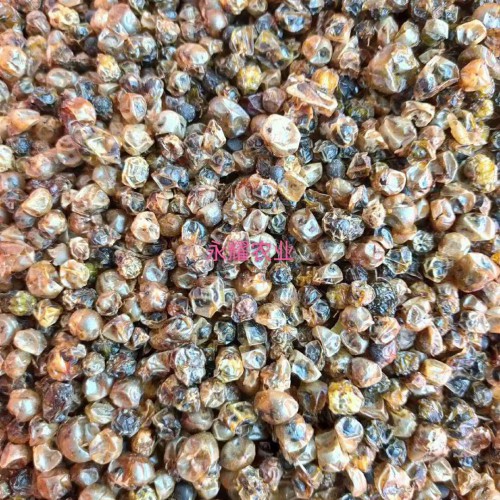 天门冬栽种的常见问题详细介绍！价钱是多少钱一斤？