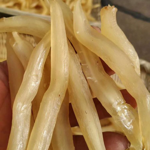 中药材天冬栽种市场前景怎样？成本费盈利大概多少钱一亩？中药炮制方式与规范是啥？附获得時间