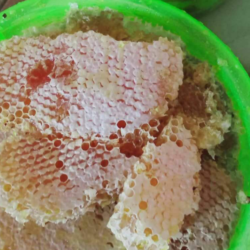 怎样辨别蜂蜜真伪？把握这七步从此不必担心购到仿货！