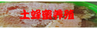 天然的土蜂蜜多少钱一斤？怎样分辨真假？如何找寻天然的蜂蜜窝？