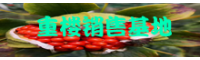 重楼何时栽种好？两年能够 获得？栽种成本费怎样？