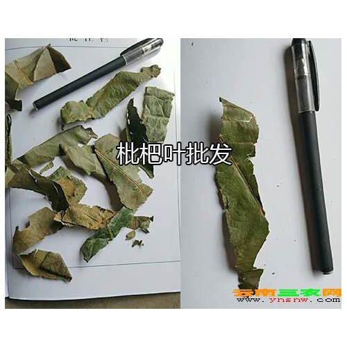 南板蓝根批发价格-蒙自南板蓝根批发_云南板蓝根供应