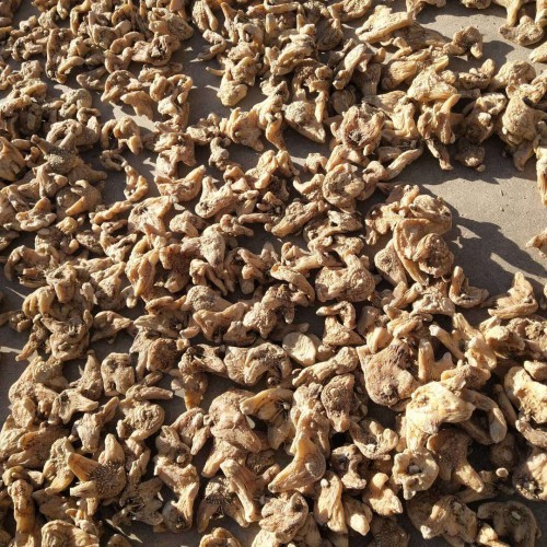 如今白芨市价多少钱一斤？泡水喝有什么作用？