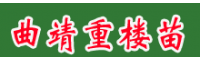 曲靖重楼种子催芽_2020重楼种子图_重楼种子繁殖