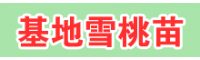 普洱丽江雪桃种苗多少钱一棵？