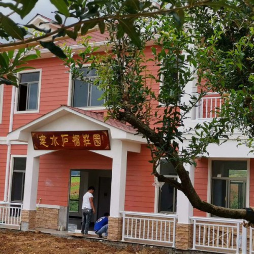 今年石榴价钱大约多少钱一斤？附石榴树的种植技术