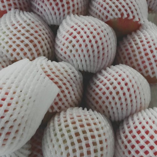 软籽石榴如何育苗_软籽石榴什么时候种植好