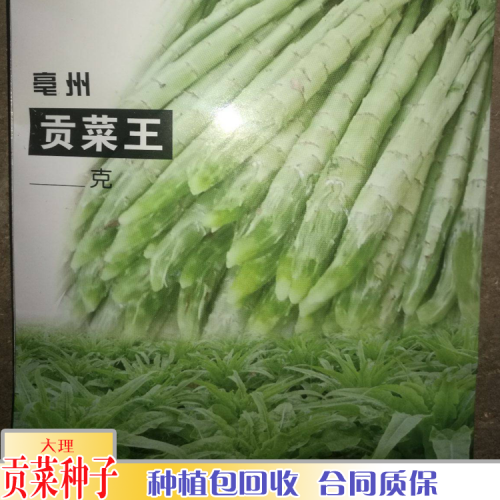 贡菜包回收_贡菜价格行情走势