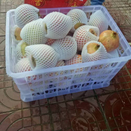保山石榴种植几年收获_石榴在什么季节种植