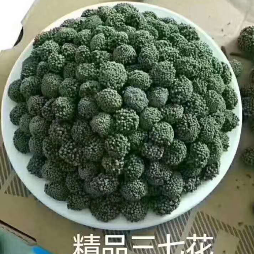 三七一吨价格多少钱_三七价格行情前景