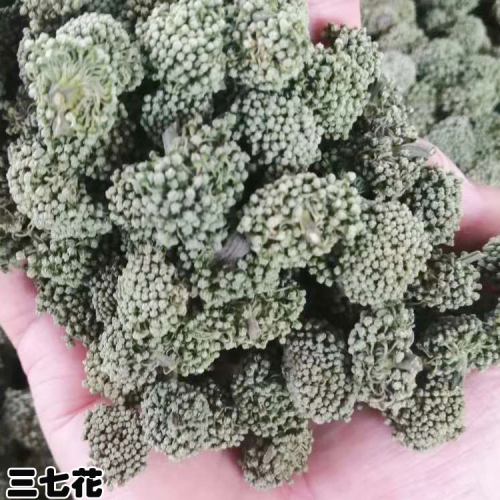 三七干片批发_三七花销售基地