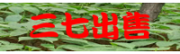 文山附近有没有三七粉卖_三七批发直销商
