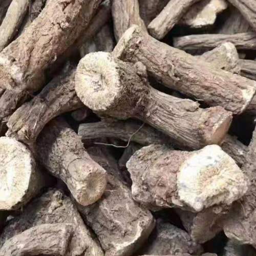 滇重楼籽预苗_重楼有效浇灌培土锄草上肥技术服务