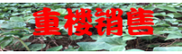 目前市场上重楼价格卖到多少钱一斤_优质重楼批发种植销售基地