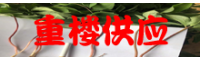 云南重楼种植繁育基地_重楼销售批发哪里好