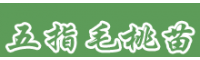 五指毛桃苗图片