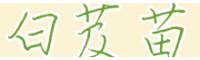 紫花白芨苗 云南曲靖市会泽县白芨苗供应