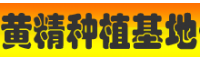 怎样人工种植黄精